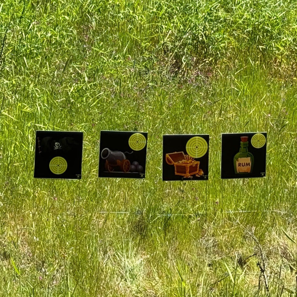 10.5" SINGLE X 4 PIRATE THEME GALLERY
