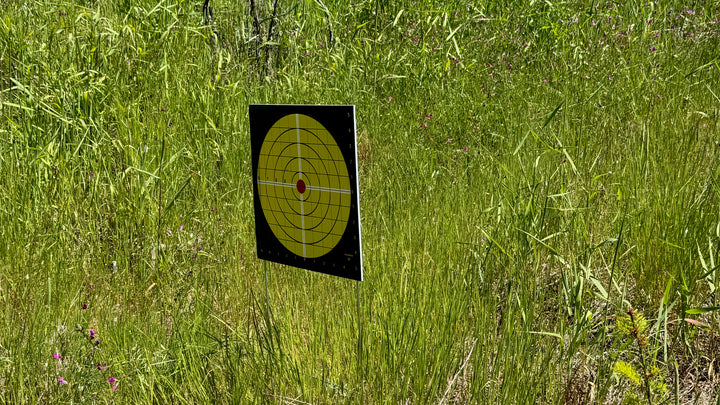 10.5" SINGLE TARGET (4) PER PK